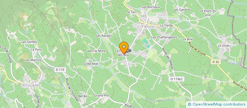 localisation de l'entreprise MONSIEUR GILLES CHAINTREUIL à FLEURIE