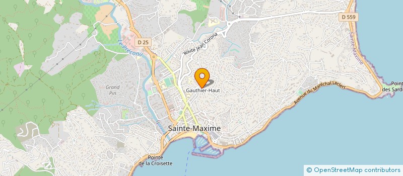 localisation de l'entreprise MONSIEUR GILLES DENIS à SAINTE-MAXIME