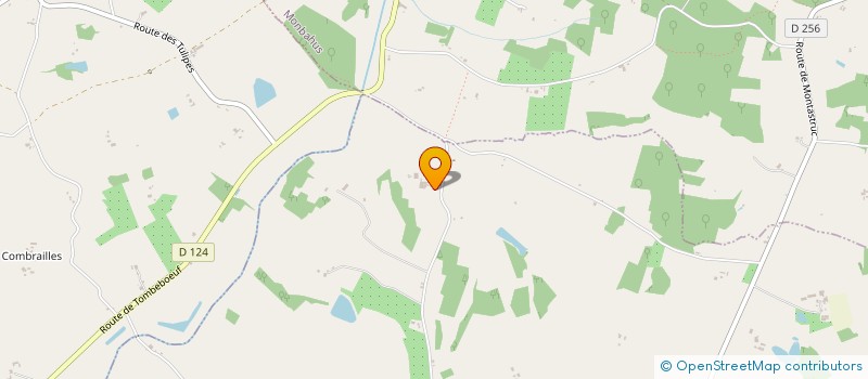 localisation de l'entreprise MONSIEUR GILLES FURLAN  MONTASTRUC