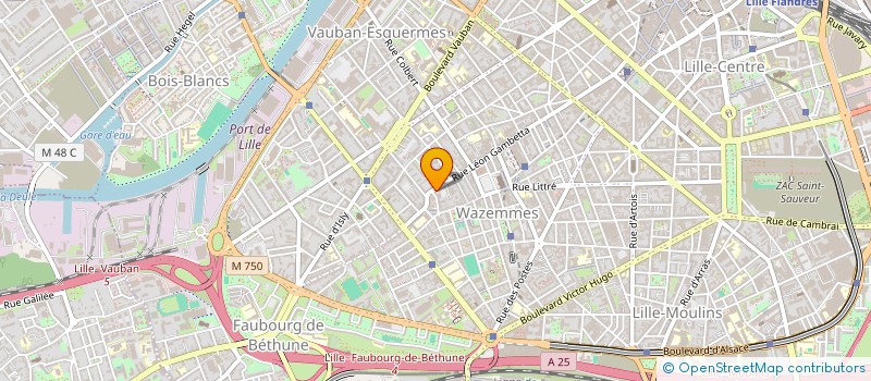 localisation de l'entreprise MONSIEUR GILLES-LEON DUFOUR à LILLE
