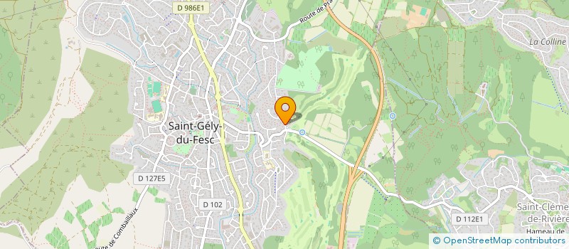 localisation de l'entreprise MONSIEUR GILLES ROUX  SAINT-GELY-DU-FESC