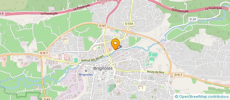 localisation de l'entreprise MONSIEUR GIMENEZ LEYSON  BRIGNOLES