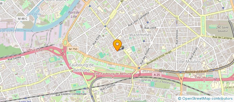 localisation de l'entreprise MONSIEUR GINA ROGISTER à LILLE