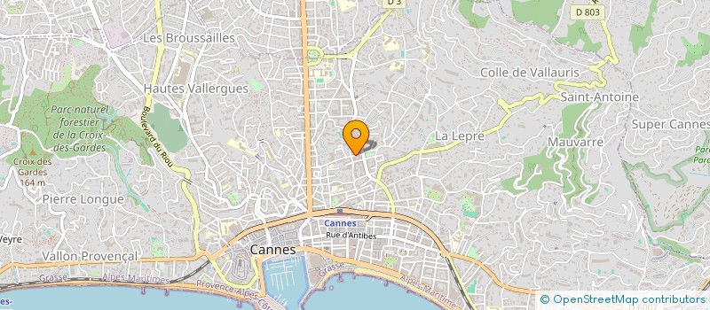 localisation de l'entreprise MONSIEUR GIORGI DARSANIA  CANNES