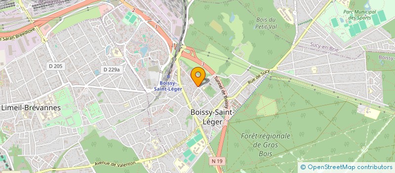 localisation de l'entreprise MONSIEUR GIOVANNI VICEDOMINI à BOISSY-SAINT-LEGER