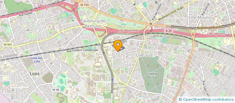 localisation de l'entreprise MONSIEUR GIULIO PESENATO à LILLE