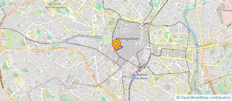 localisation de l'entreprise MONSIEUR GIUSEPPE VITRANO LOMBARDO à MONTPELLIER