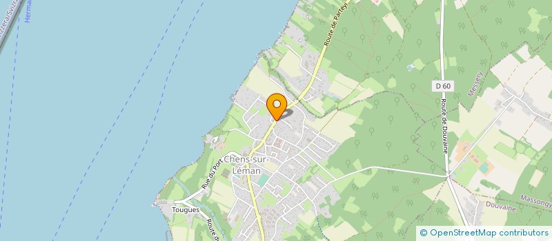 localisation de l'entreprise MONSIEUR GOKHAN DALDAL  CHENS-SUR-LEMAN