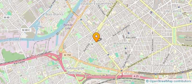 localisation de l'entreprise MONSIEUR GONZAGUE LEPOUTRE à LILLE