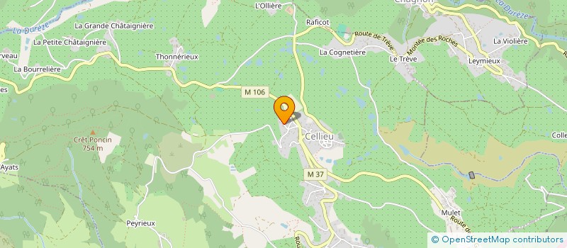 localisation de l'entreprise MONSIEUR GORAN ILIC  CELLIEU