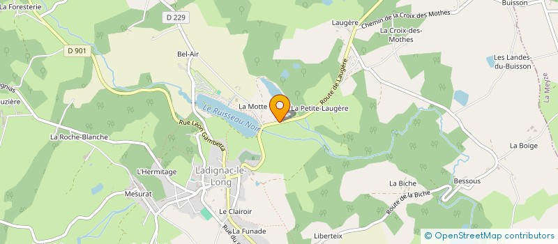 localisation de l'entreprise MONSIEUR GORDON BROWN  LADIGNAC-LE-LONG