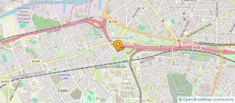 localisation de l'entreprise MONSIEUR GOU ZAOUOROU à LILLE
