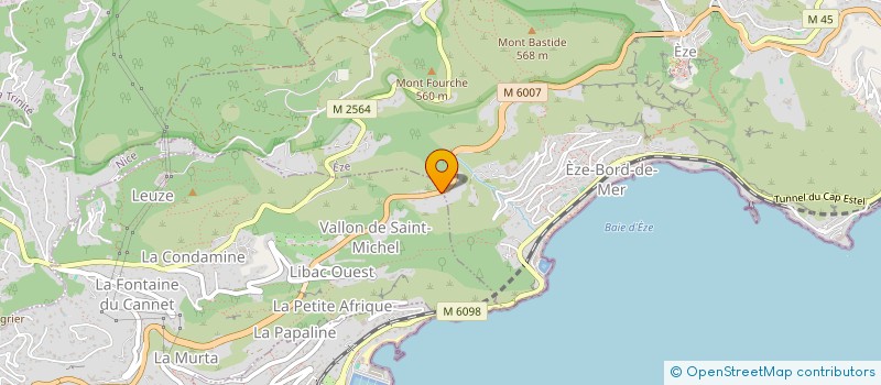 localisation de l'entreprise MONSIEUR GRAZVIDAS VIRMAUSKIS à VILLEFRANCHE-SUR-MER