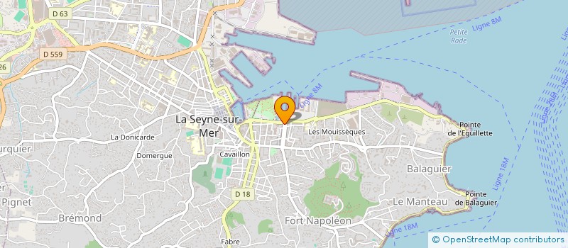 localisation de l'entreprise MONSIEUR GREGOIRE BRANDOLIN à LA SEYNE-SUR-MER
