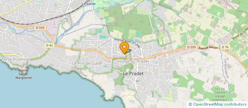 localisation de l'entreprise MONSIEUR GREGOIRE GOTTARDI BLANC  LE PRADET