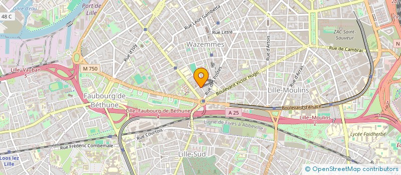 localisation de l'entreprise MONSIEUR GREGOIRE GUILLEMIN à LILLE