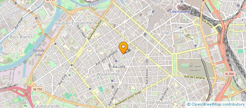 localisation de l'entreprise MONSIEUR GREGOIRE PUMA à LILLE