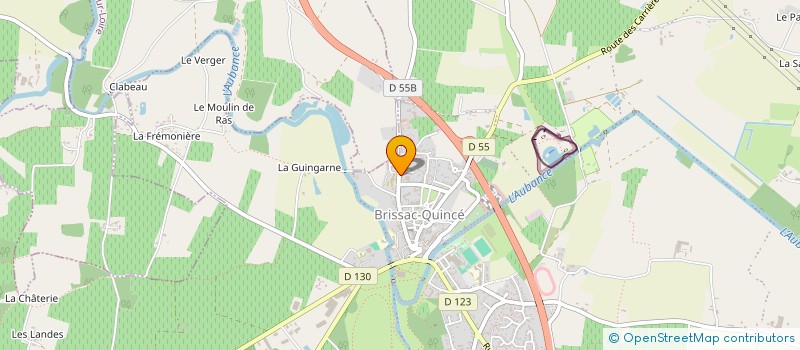 localisation de l'entreprise MONSIEUR GREGOR SCHONFELDER  BELLEVIGNE-EN-LAYON