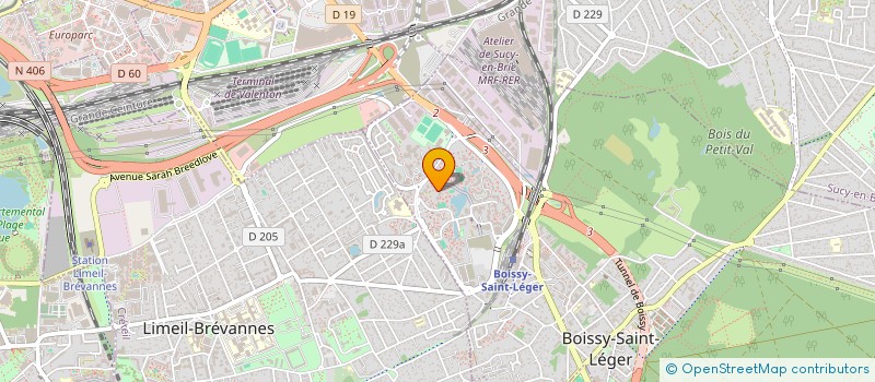 localisation de l'entreprise MONSIEUR GREGORIE RILCY à BOISSY-SAINT-LEGER
