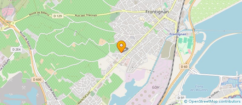 localisation de l'entreprise MONSIEUR GREGORY AMALRIC à FRONTIGNAN