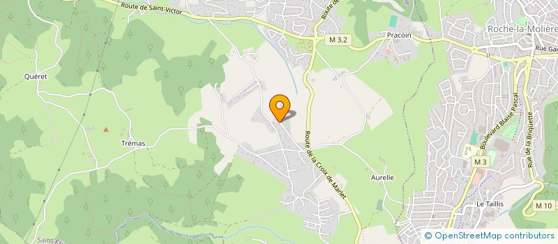 localisation de l'entreprise MONSIEUR GREGORY BACHER  SAINT-ETIENNE