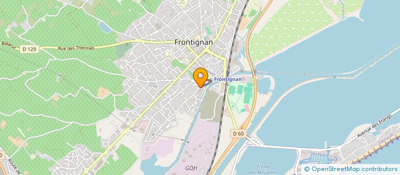 localisation de l'entreprise MONSIEUR GREGORY BARDIOT  FRONTIGNAN