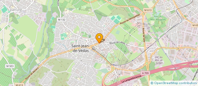 localisation de l'entreprise MONSIEUR GREGORY BIAU  SAINT-JEAN-DE-VEDAS