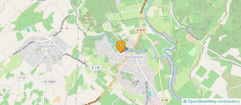 localisation de l'entreprise MONSIEUR GREGORY COT  BOISSERON
