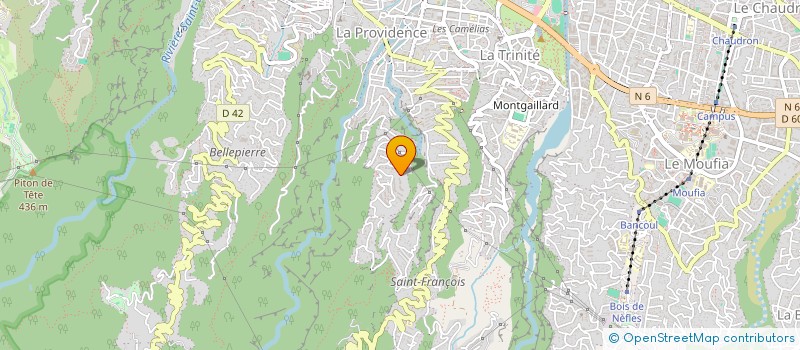 localisation de l'entreprise MONSIEUR GREGORY DUCHEMANN  SAINT-DENIS