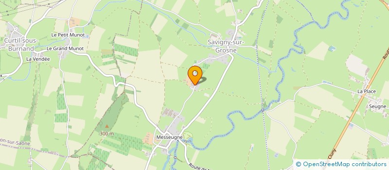 localisation de l'entreprise MONSIEUR GREGORY FAUQUEUR  SAVIGNY-SUR-GROSNE