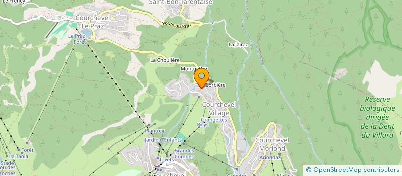 localisation de l'entreprise MONSIEUR GREGORY FLON à COURCHEVEL