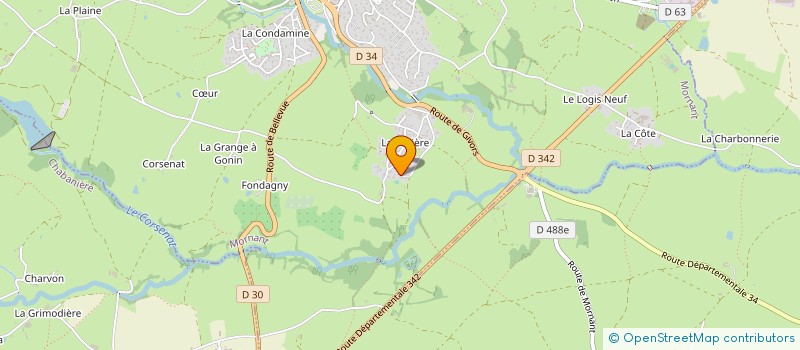 localisation de l'entreprise MONSIEUR GREGORY MAS  MORNANT