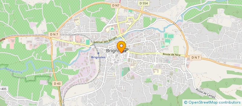 localisation de l'entreprise MONSIEUR GREGORY RIBIERE à BRIGNOLES