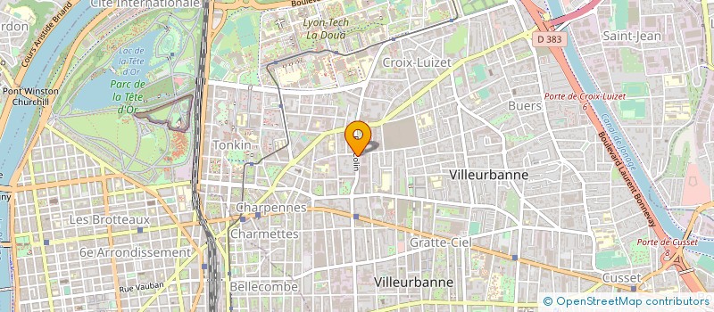 localisation de l'entreprise MONSIEUR GREGORY SALICHON  VILLEURBANNE