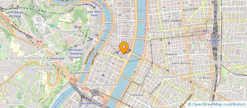 localisation de l'entreprise MONSIEUR GREGORY SALICHON  LYON