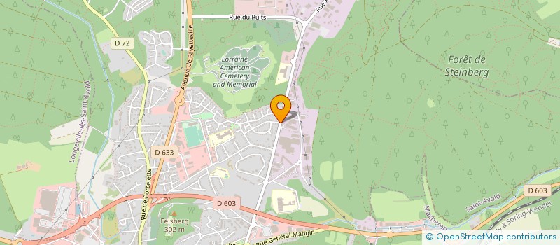 localisation de l'entreprise MONSIEUR GREGORY SCHOTT  SAINT-AVOLD