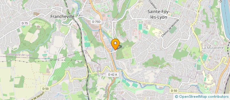 localisation de l'entreprise MONSIEUR GREGORY TAVAN  SAINTE-FOY-LES-LYON