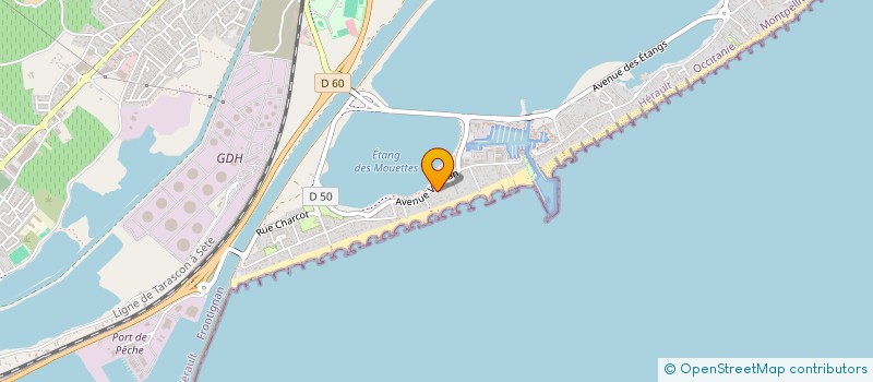 localisation de l'entreprise MONSIEUR GREGORY YOUNSI à FRONTIGNAN