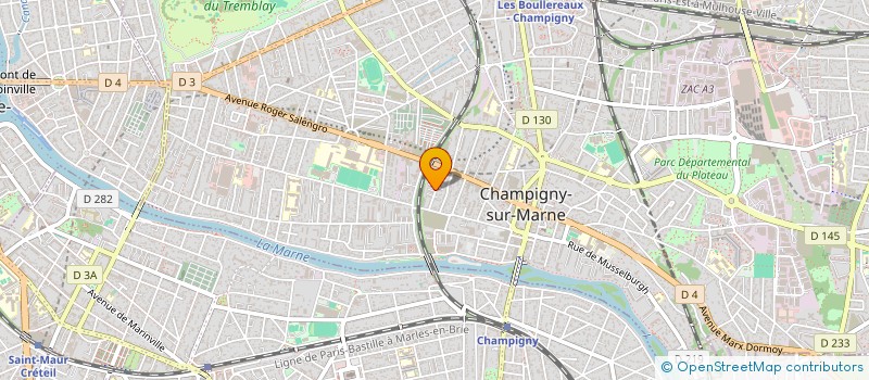 localisation de l'entreprise MONSIEUR GRIGORE MUSCHEI à CHAMPIGNY-SUR-MARNE