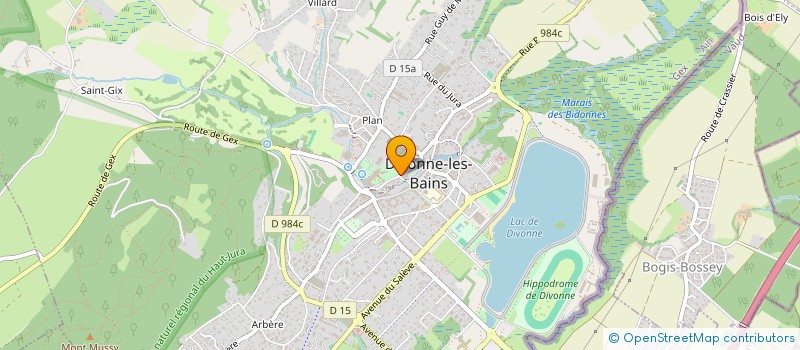 localisation de l'entreprise MONSIEUR GUILHEM PORON  DIVONNE-LES-BAINS