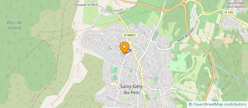 localisation de l'entreprise MONSIEUR GUILLAUME BENES à SAINT-GELY-DU-FESC