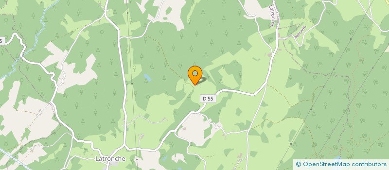 localisation de l'entreprise MONSIEUR GUILLAUME BERGIN  NEUVIC