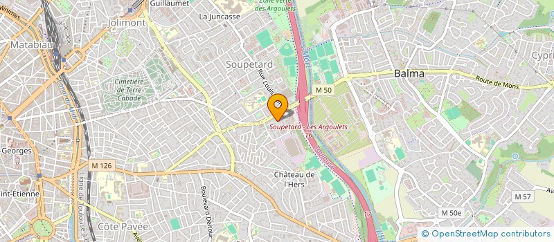 localisation de l'entreprise MONSIEUR GUILLAUME CHEMINEAU  TOULOUSE