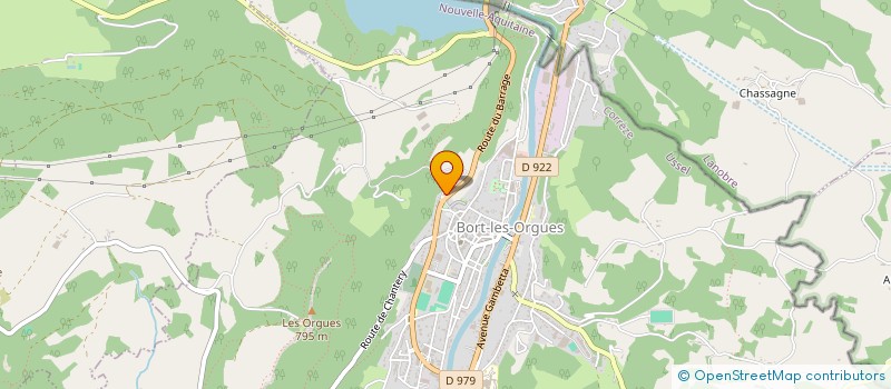 localisation de l'entreprise MONSIEUR GUILLAUME DELAHAYE  BORT-LES-ORGUES