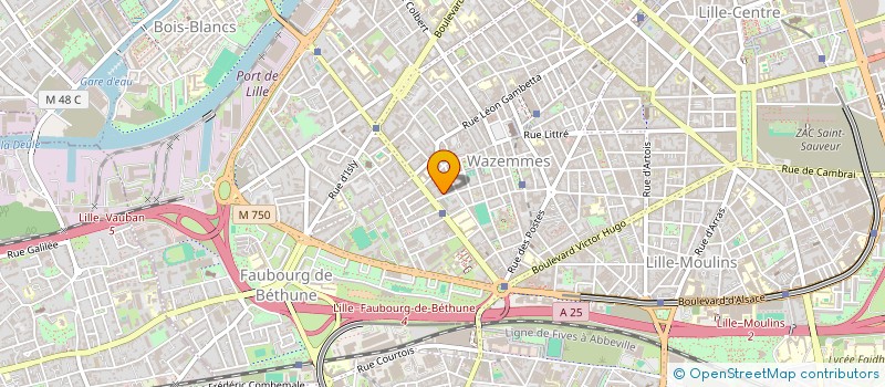 localisation de l'entreprise MONSIEUR GUILLAUME DELARUE à LILLE