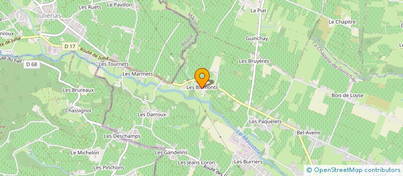 localisation de l'entreprise MONSIEUR GUILLAUME DELMAS à LA CHAPELLE-DE-GUINCHAY
