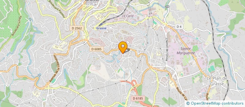 localisation de l'entreprise MONSIEUR GUILLAUME DUBOIS  GRASSE