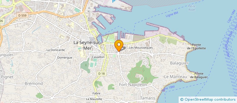 localisation de l'entreprise MONSIEUR GUILLAUME GIRAUD à LA SEYNE-SUR-MER