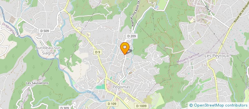 localisation de l'entreprise MONSIEUR GUILLAUME REYNET  PEGOMAS