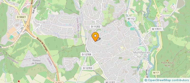 localisation de l'entreprise MONSIEUR GUILLAUME RUIZ  MONTFERRIER-SUR-LEZ